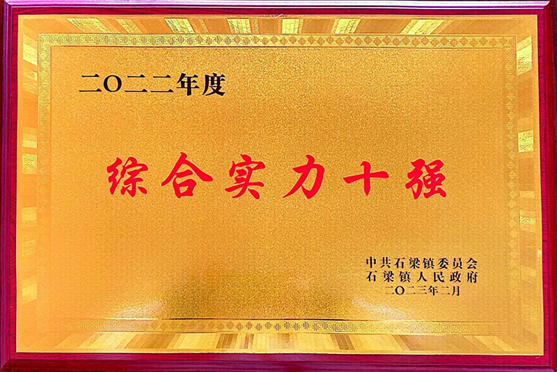 綜合實力十強(qiáng)